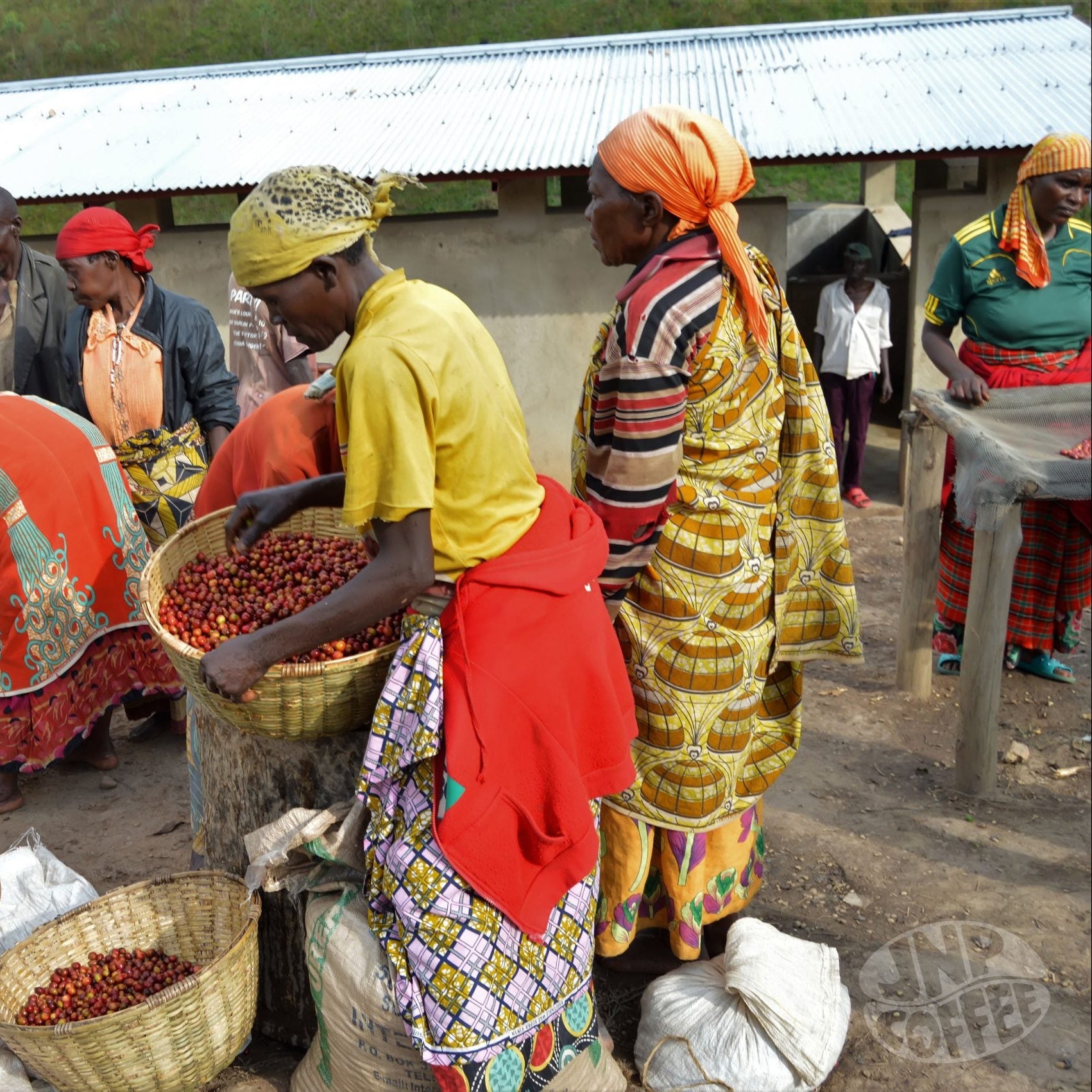 BURUNDI TURIHAMWE